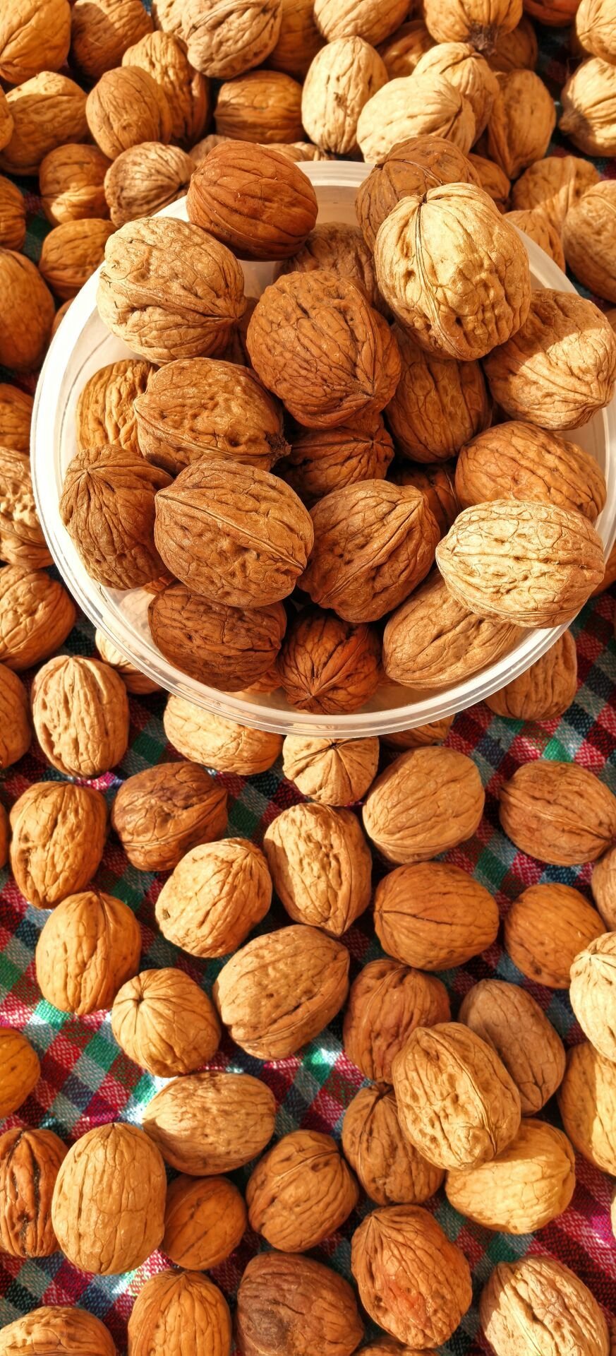 Yerli Doğal Ceviz 1 kg